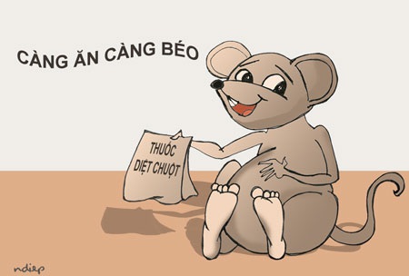 Năm Tý nói chuyện chuột và cuộc chiến chống tham nhũng hiện nay